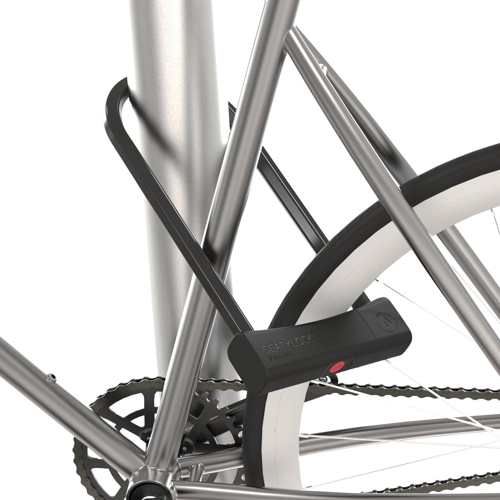 Carton of 6 Mason 30CM